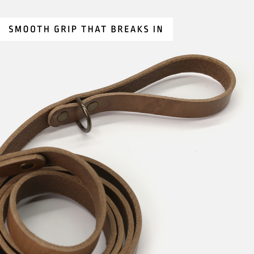 Dog Leash